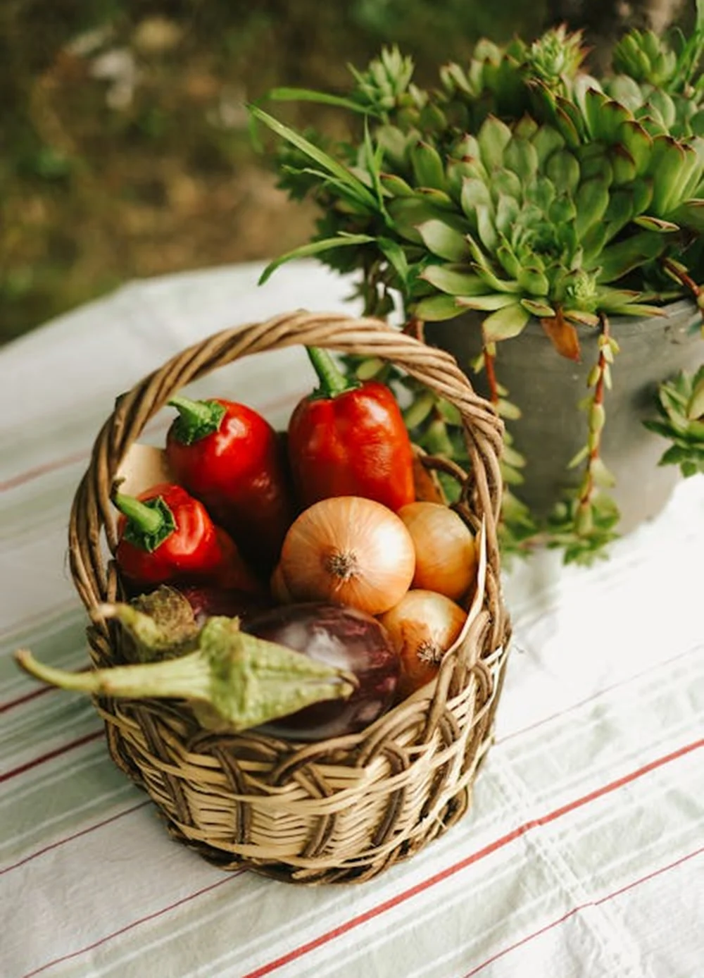 Lorem ipsum dolor sit amet, porro quisquam est, qui dolorem ipsum quia dolor sit amet.