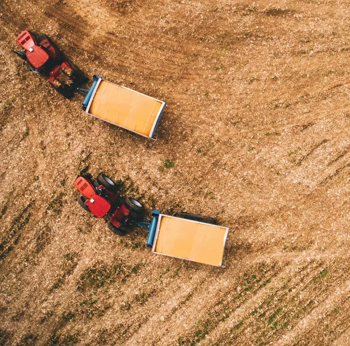 The Potential of Virtual Reality in Agrifood